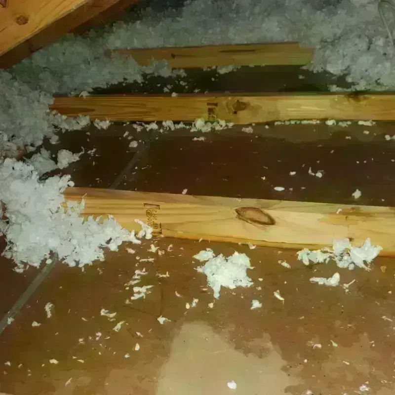 Attic Water Damage in Deer Park, TX