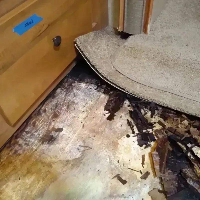 Best Wood Floor Water Damage Service in Deer Park, TX